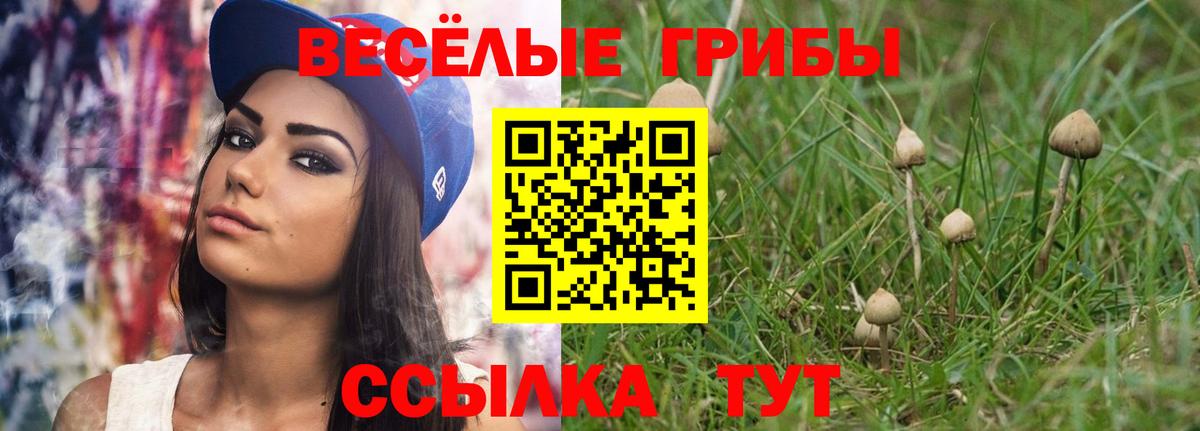 Елизово  Галлюциногенные грибы мухоморы  дарнет шоп  Псилоцибиновые грибы Magic Shrooms  Вход с VPN 